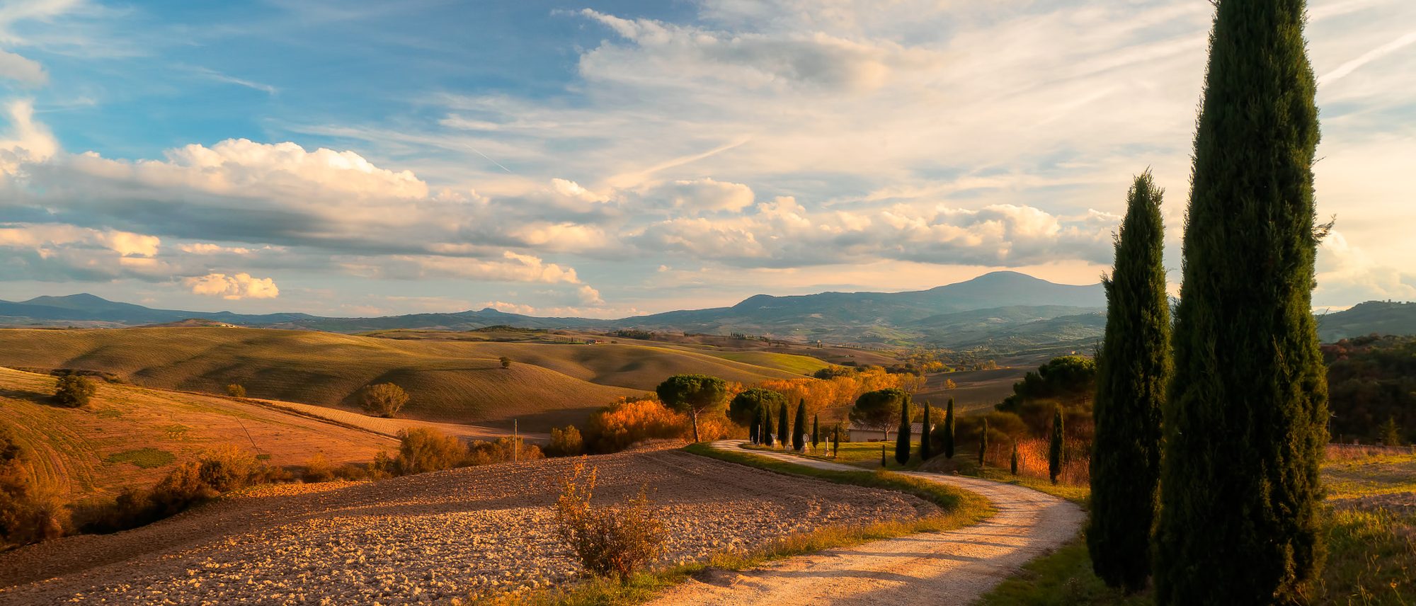 Colline con cipressi al tramonto